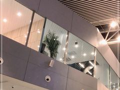 -合肥新桥国际机场-航站楼