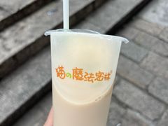 -猫的魔法密林(衣裳街店)