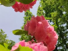 -上海滨江森林公园