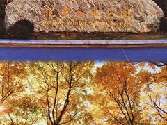 -永定河休闲森林公园