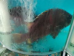 -聚德福海鲜家常菜(刘庄店)