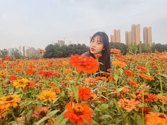 -映月湖中央公园