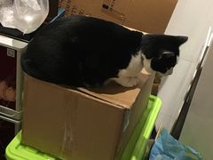 -猫的天空之城概念书店(杭州南宋御街店)