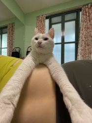 -齐伽生活馆·瑜伽·普拉提·阿育吠陀