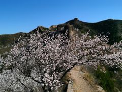 -蟠龙山长城景区