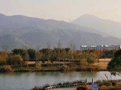 -三垟湿地