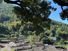 -杨家堂村