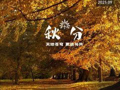 -鲍师傅糕点(西站店)