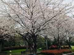 -玉山公园