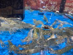 -盒马鲜生(观音桥店)