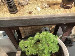 -阜昌典当行(阜成门店)