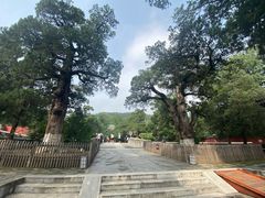 -大觉寺-停车场