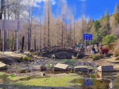 -白水寺森林公园