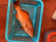 清蒸东星斑-渔满仓海鲜渔家(象山二店)