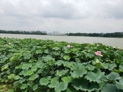 -云龙湖旅游景区