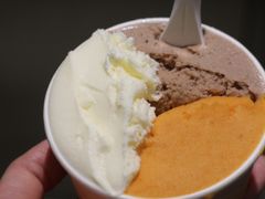-Dip in Gelato(富民路店)