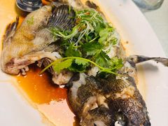 -宜兴隆家宴·私房菜(泰安华庭店)