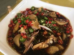-胖大姐黄辣丁鱼庄(新津店)