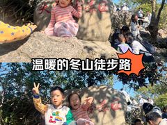 -紫金山天文台