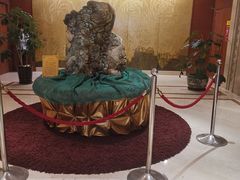 -沈阳玫瑰大酒店