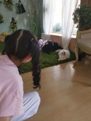 -DORA kids 朵拉儿童摄影花园店