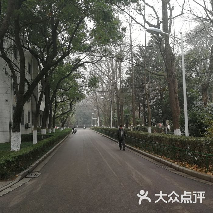 南京大学鼓楼校区南园图片-北京大学-大众点评网