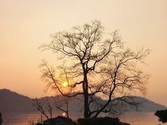 -东湖落雁景区