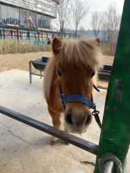 -萌宠亲子动物乐园(槐房万达店)