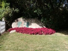 -苏州河梦清园环保主题公园