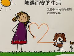 -北京观赏动物医院·24小时大型综合·猫专科·异宠专科