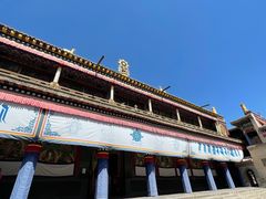 -塔尔寺-菩提树