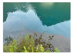 -靖西鹅泉风景区