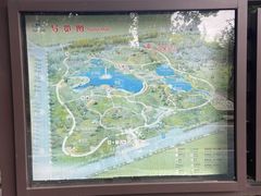 -新洲生态园