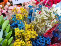 -循礼门鲜花花市(武汉循礼门店)