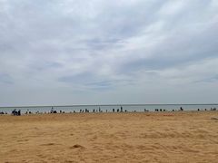 -天津东疆湾沙滩景区