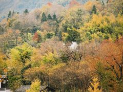-塔川景区
