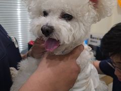 -美迦爱-牙专科·兔科·骨科诊疗中心(北苑店)
