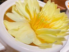 -甄御•海鲜新青岛菜(麦岛店)