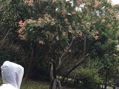 -中央公园(苏州工业园区)
