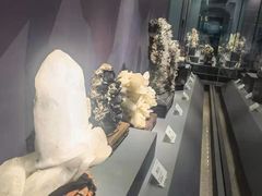 -湖南省地质博物馆