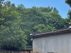 -杭州少年儿童公园