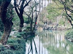 -上海醉白池公园