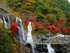 -天女山森林公园