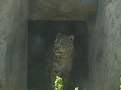 -青藏高原野生动物园