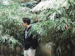 门面-玉書·書房