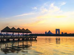 -金鸡湖景区
