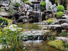 -东莞植物园