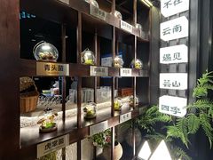 -芸山季·云南野生菌火锅(人民广场来福士店)