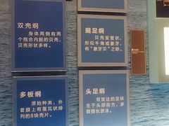 -舟山博物馆