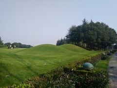 球场-银涛高尔夫练习场(徐泾店)